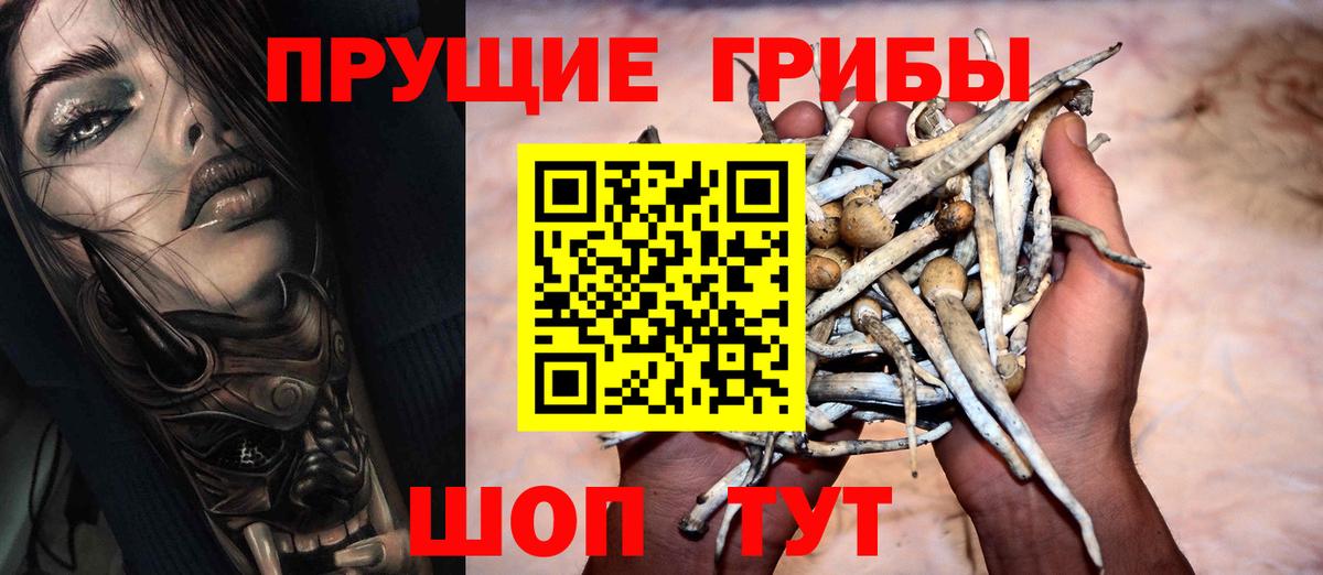 Галлюциногенные грибы прущие грибы  Вход с VPN  Троицк 